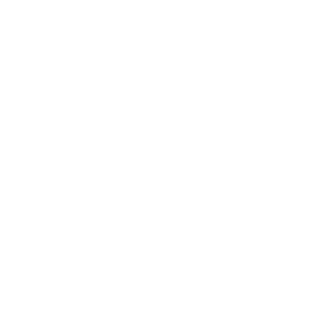 The Growth Blueprint